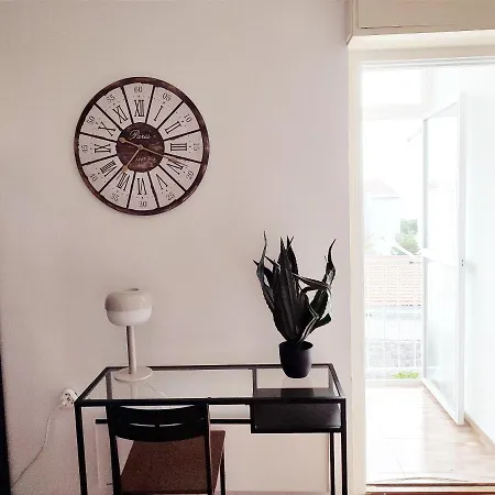 Rose, Close To The * Makarska